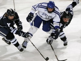 优德官方网站w88